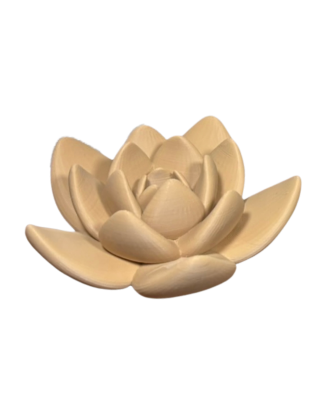 Lotus bloem (op = op)